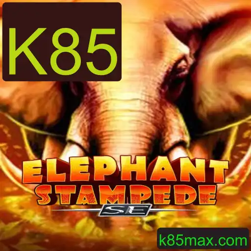 Explorando o Mundo de ElephantStampedeSE